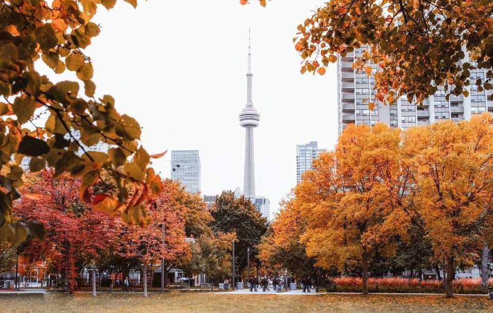 Toronto city