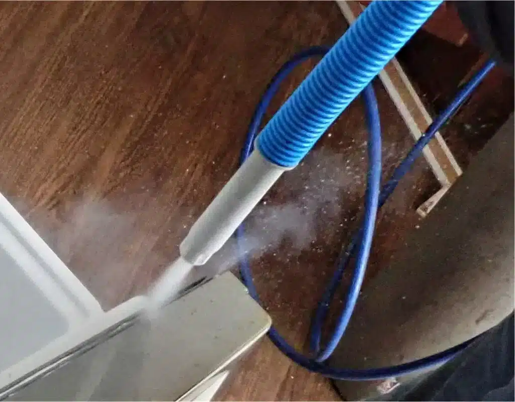 Bed Bug Cryogenic Treatment