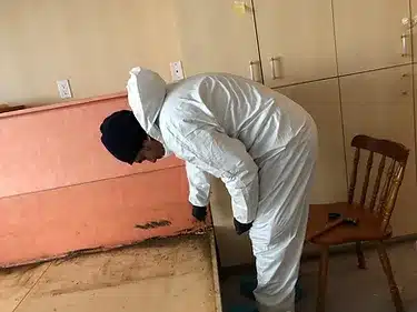 Bed-Bug-Preparation-Services-image-1