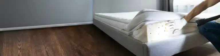 How Can You Get Rid of Bed Bugs Without Throwing Away Your Mattress or Furniture?