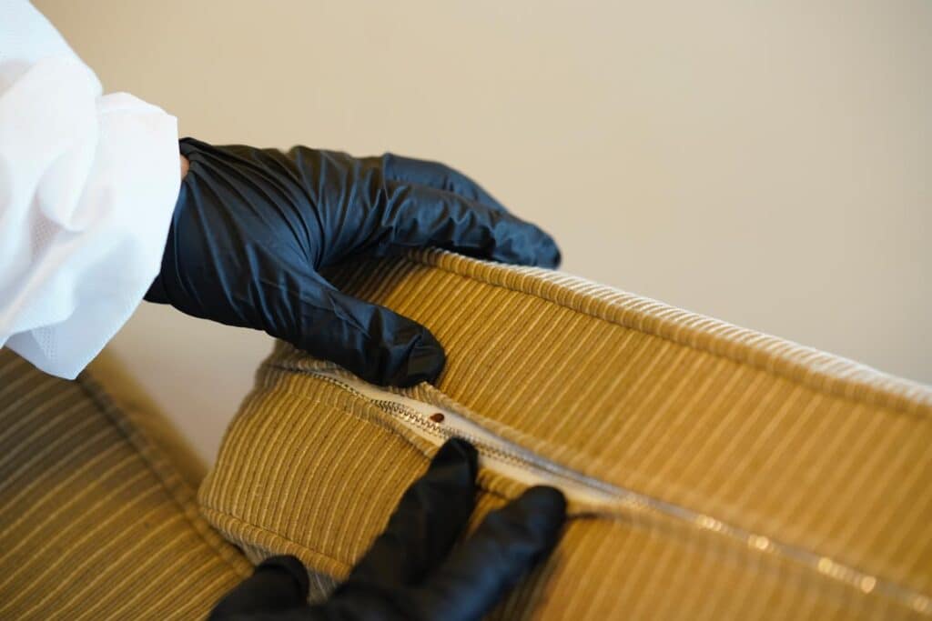 technician-detecting-bed-bug-problem-in-toronto-bedroom