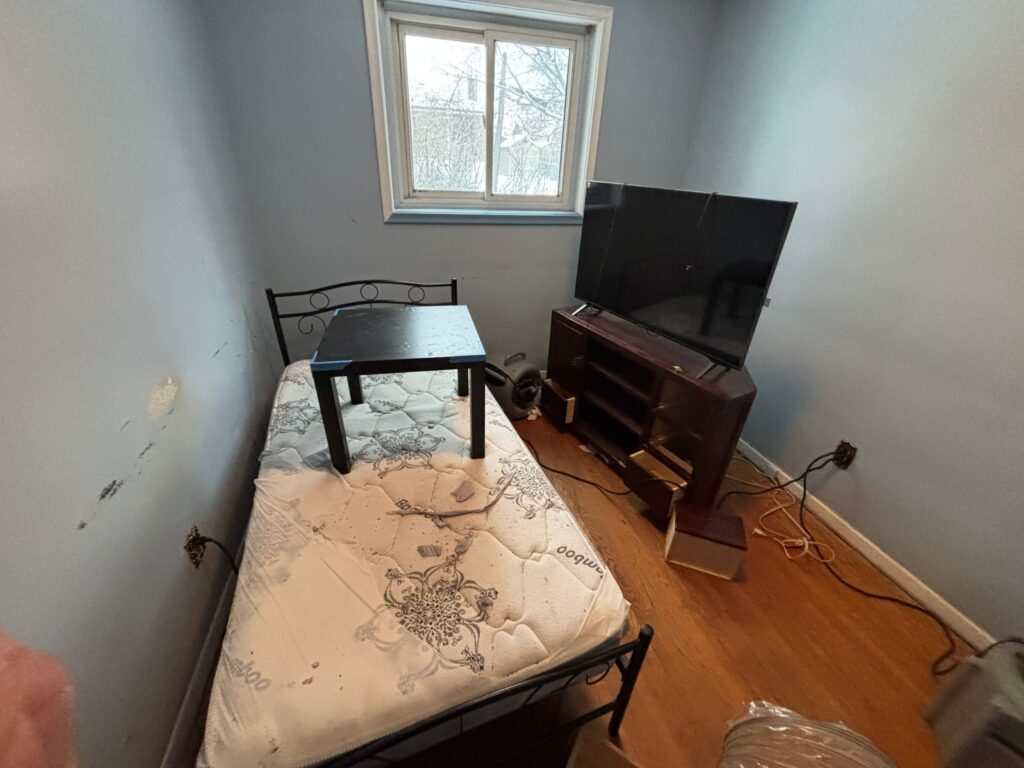 close-view-of-bed-bugs-on-bedroom-furniture-Toronto-home