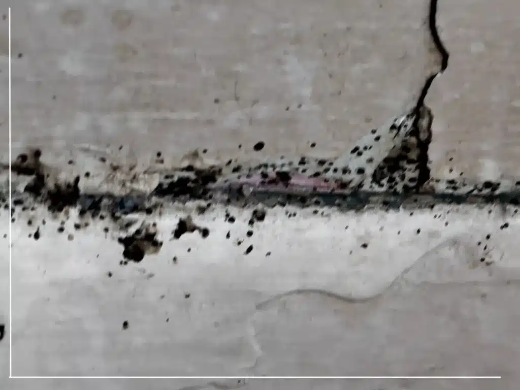 Bed-Bug-Infestation-Evidence