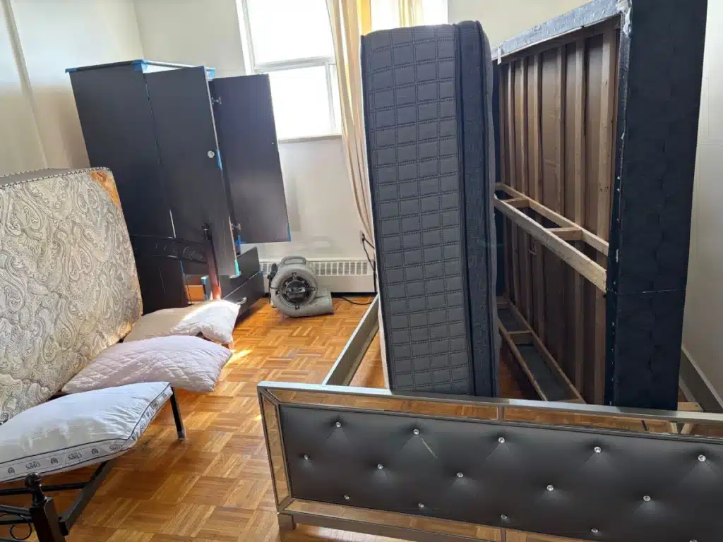 bugs-heat-terminator-technician-heat-treatment-York-Toronto