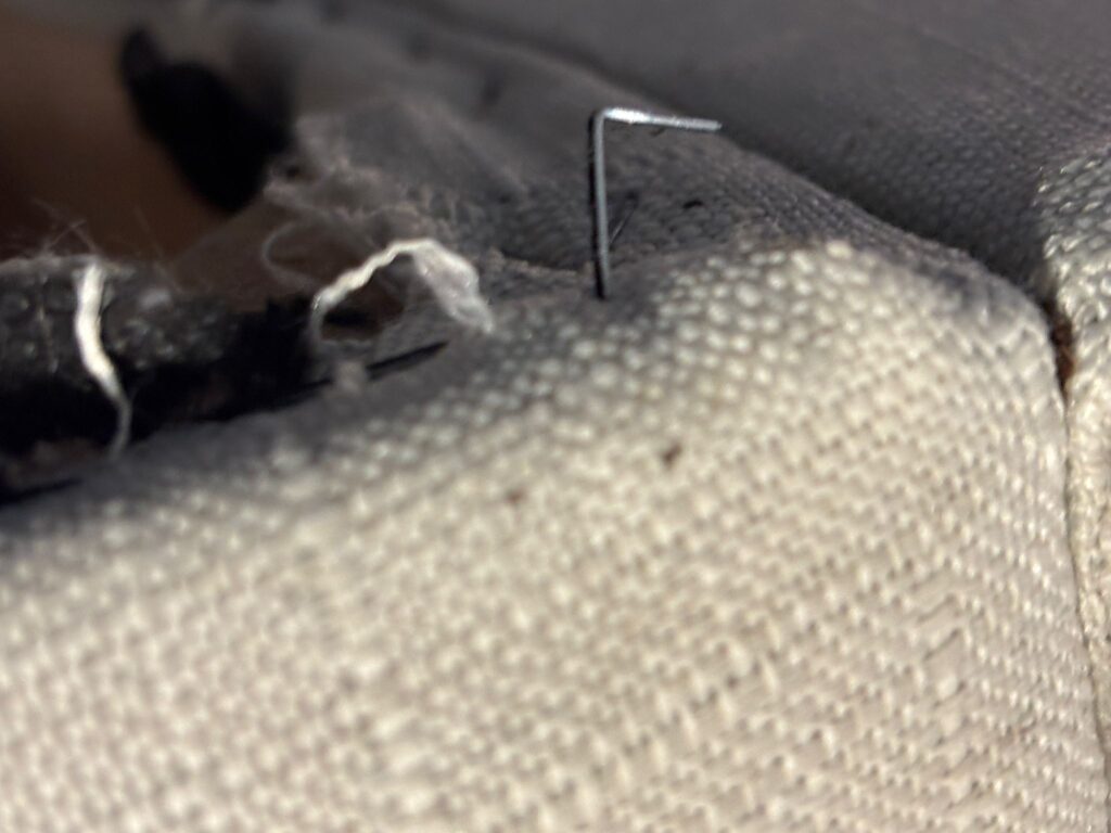 close-up-of-bed-bug-activity-on-couch-seam-Toronto