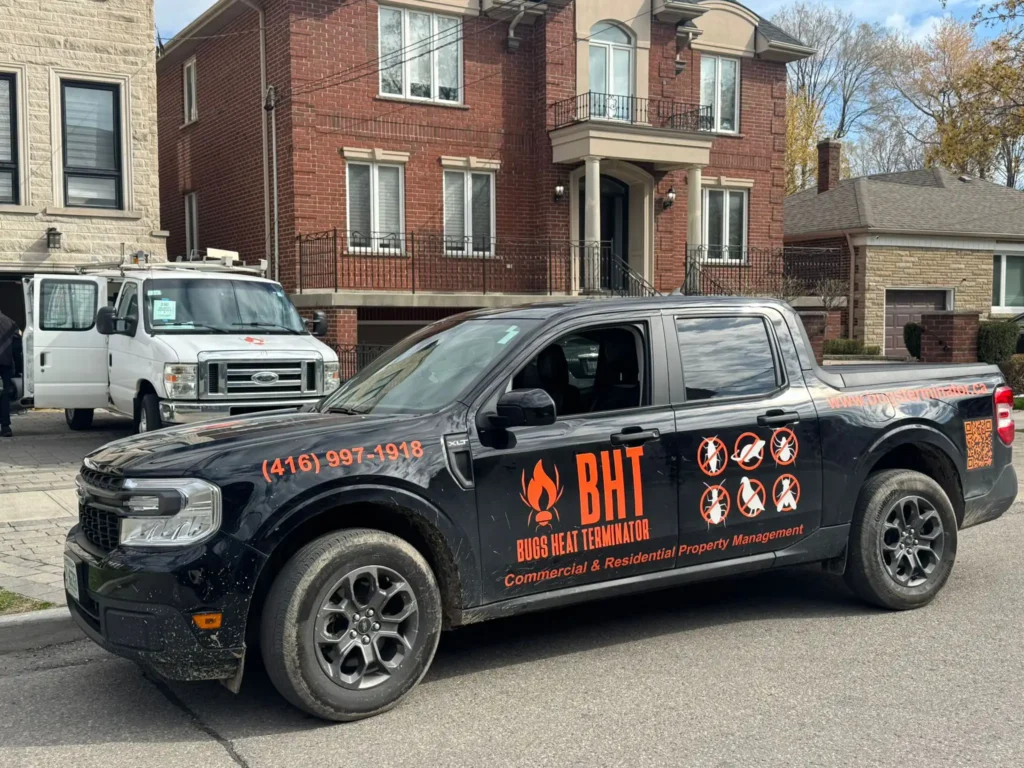 Specialists in heat treatment for bed bugs