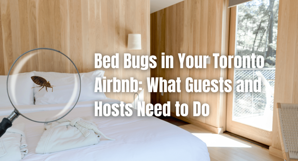 Bed Bugs in Your Toronto Airbnb: What Guests and Hosts Need to Do