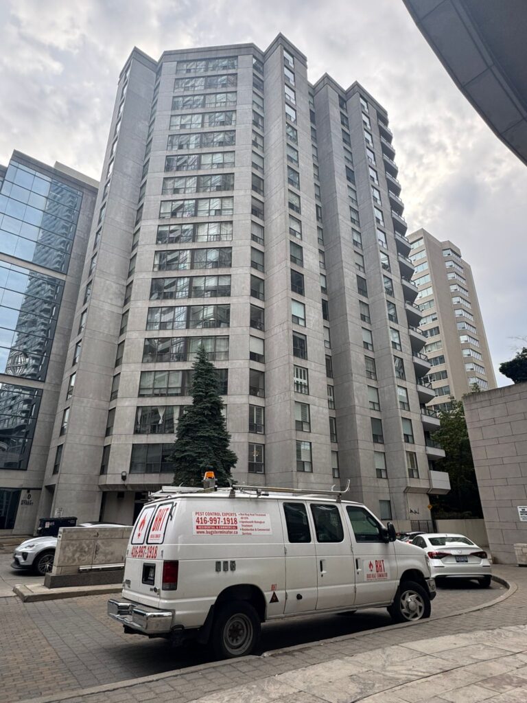 bugs-heat-terminator-service-vehicle-north-york-toronto
