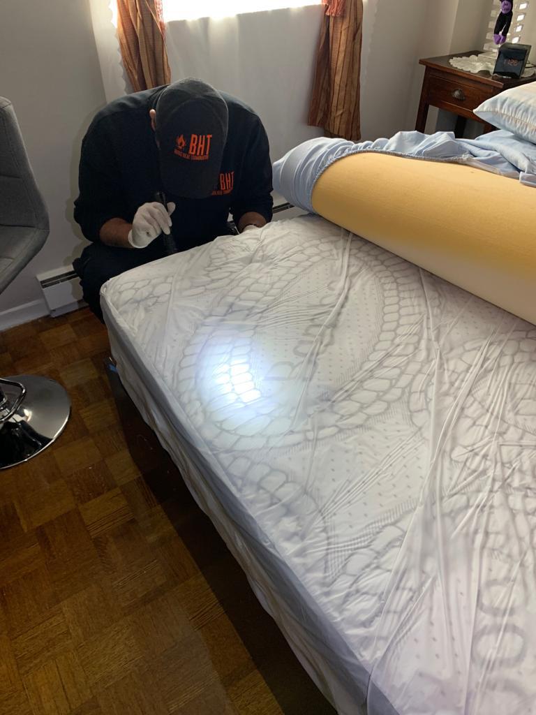 bed-bug-inspection